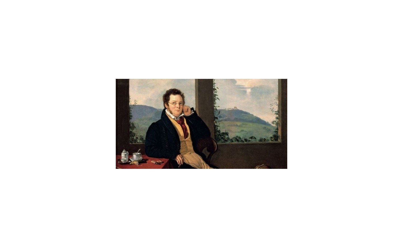 Franz Schubert Kimdir?